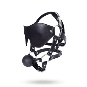 Eye Mask Harness With Ball Gag