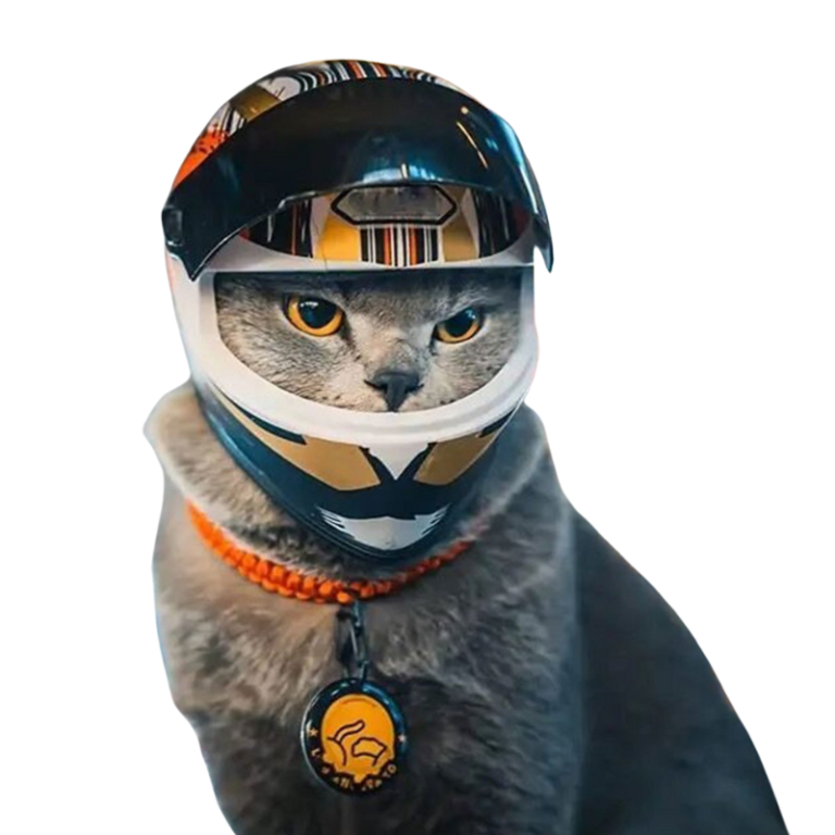 Katt- och hund motorcykelhjälm