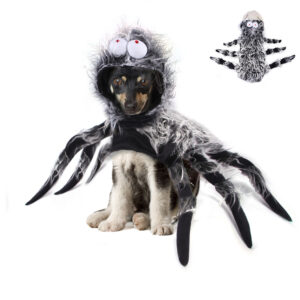 Spindeldräkt för Hund Halloweenkostym - L